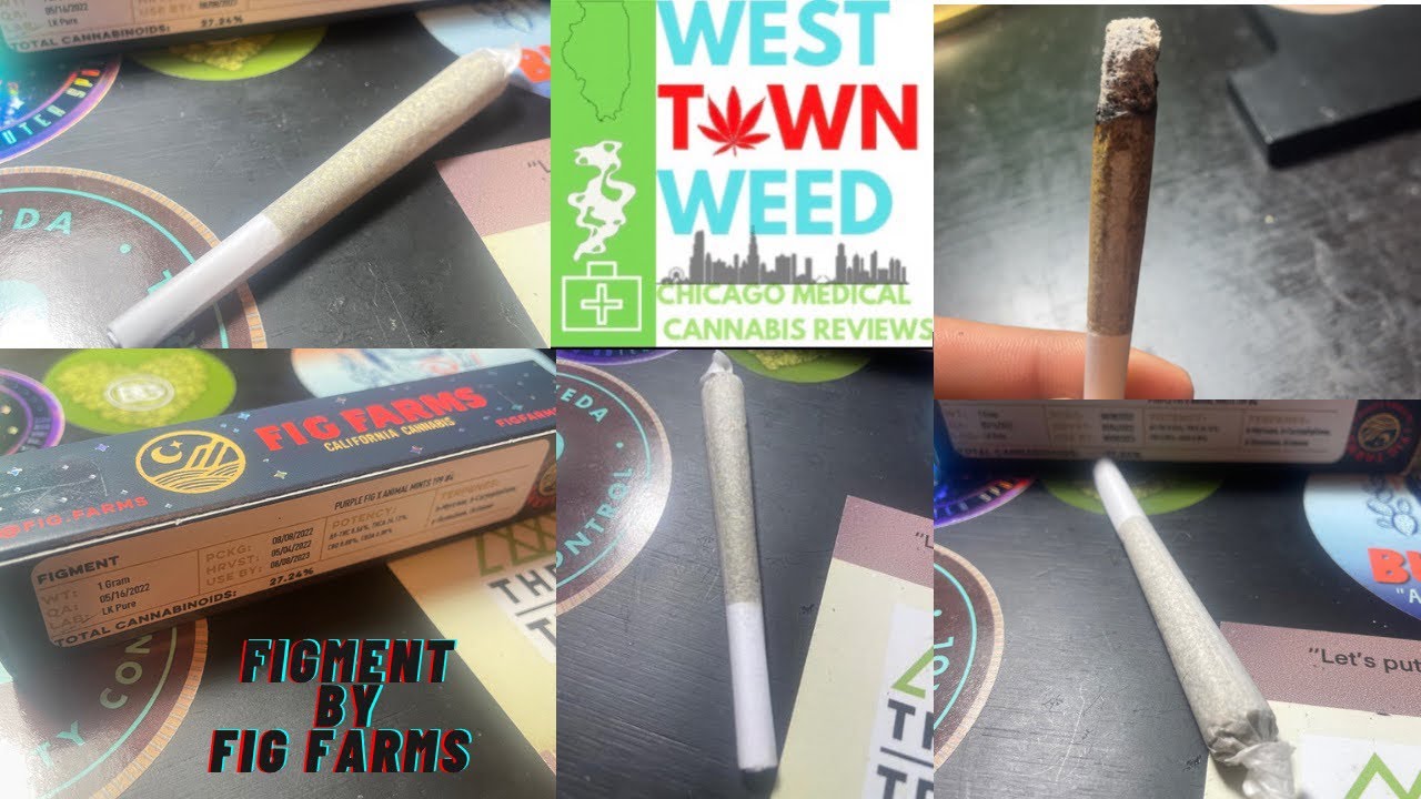 Figment by Fig Farms Preroll Review