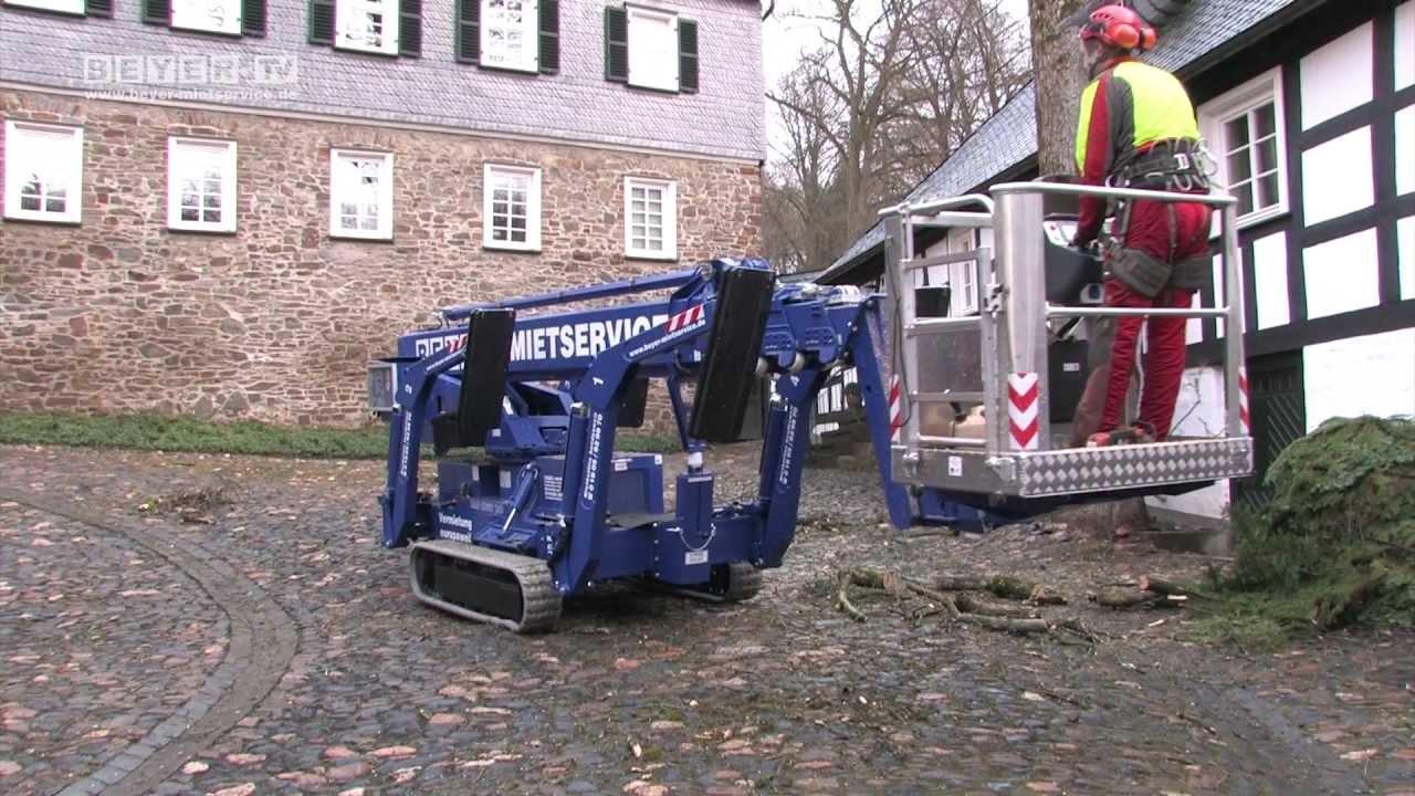 Raupen Arbeitsbühne mieten | Baumschnitt