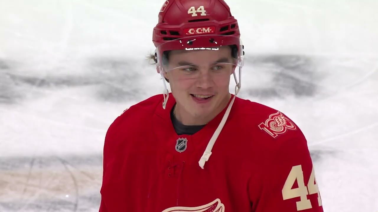 Sandin-Pellikka's journey to the NHL 🏒 🇸🇪