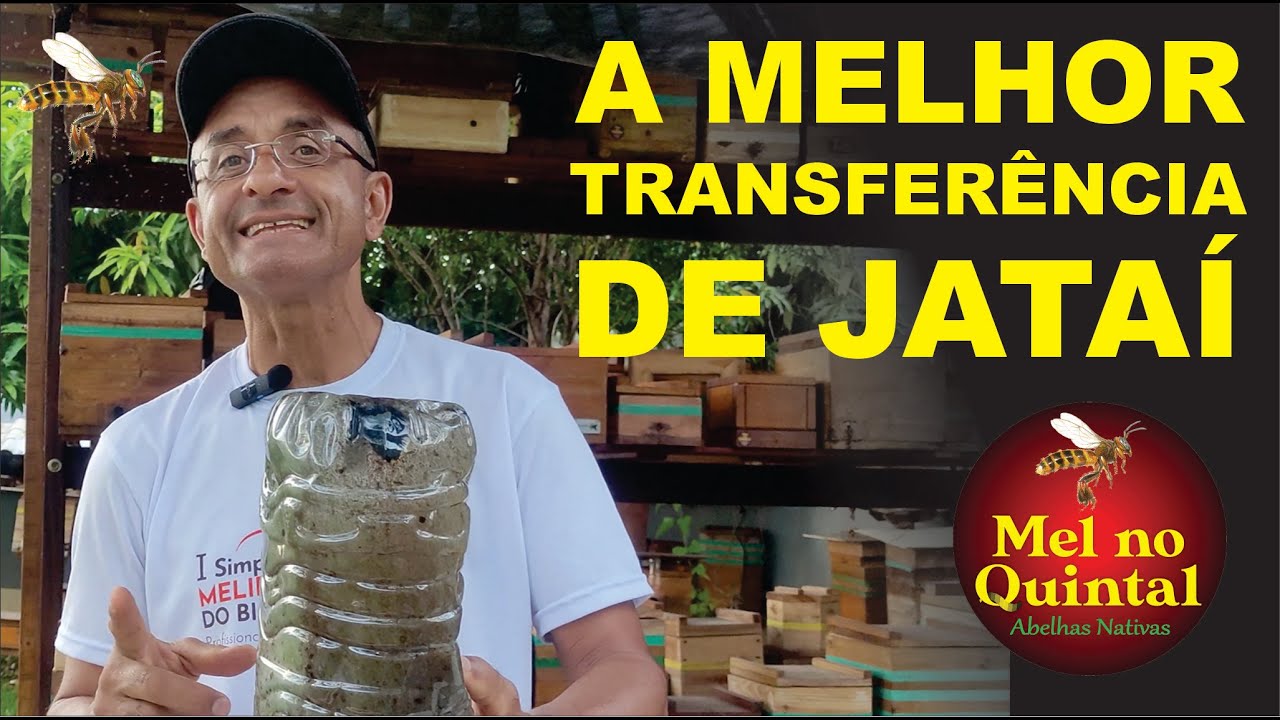 Transferência de JATAÍ, a melhor aula, COMPLETA!