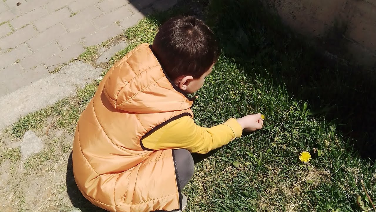 Kiler ve buzluk düzenim✨ Neler yaptım ❗