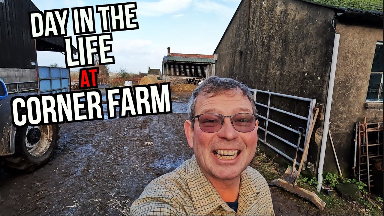 Day in the life on a cattle farm
