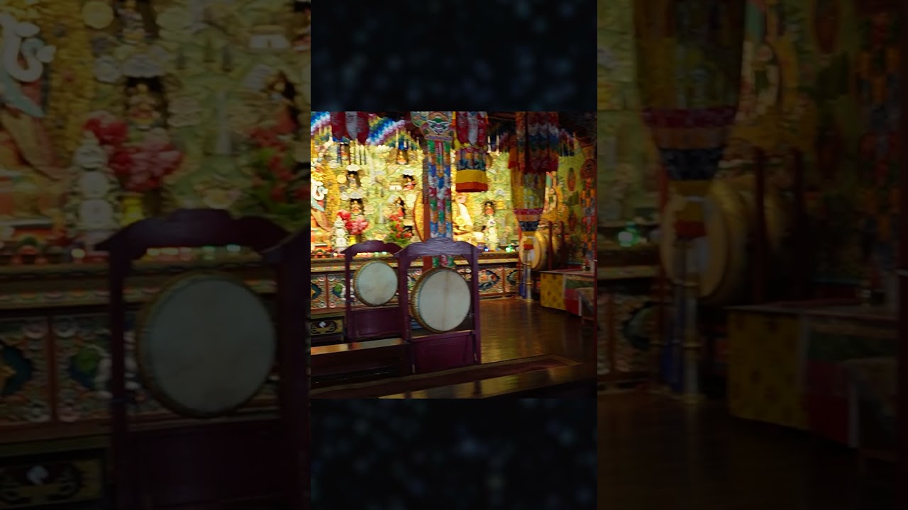 Sikkim Series: Spending a day in a monastery.
