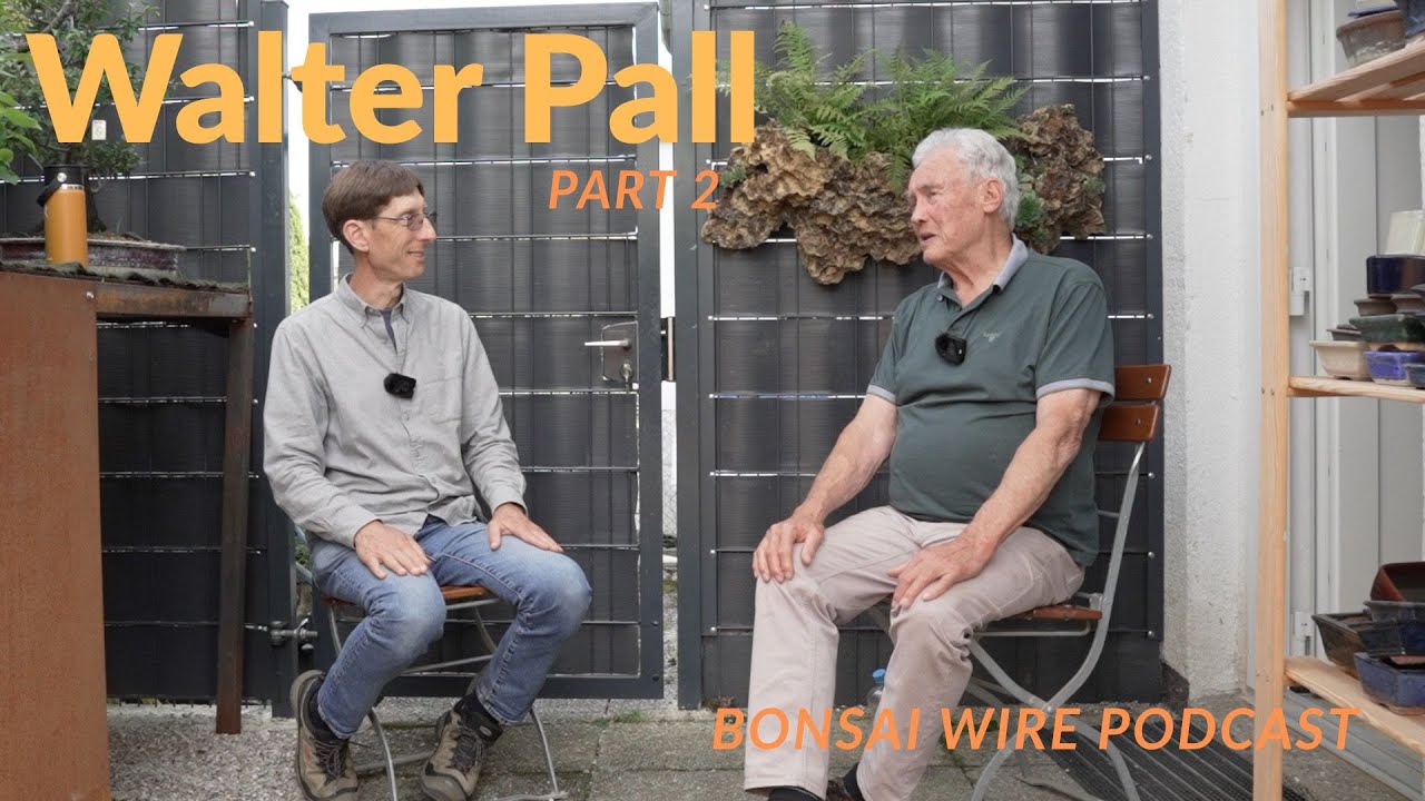 Chat with Walter Pall part 2