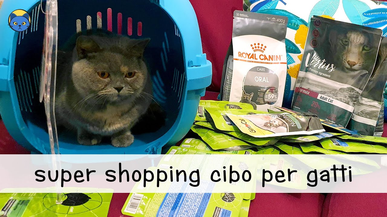 Super shopping cibo gatti per 2 mesi!