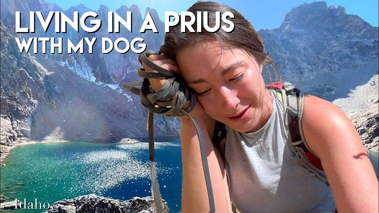 Living in a Prius with a Dog: Alone in the Mountains & Hard Times - solo female car camper