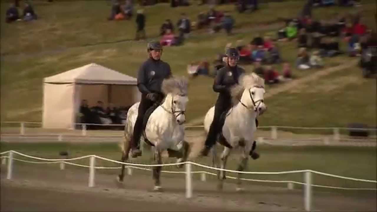 Landsmot Hella 2014 - Official Trailer  - www.landsmot.is