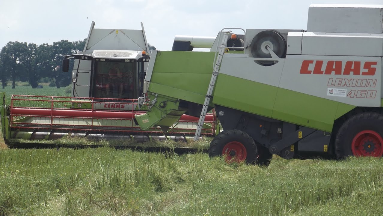 Żniwa 2014 #  Zbiór  rzepaku # Lexion 460 & 560
