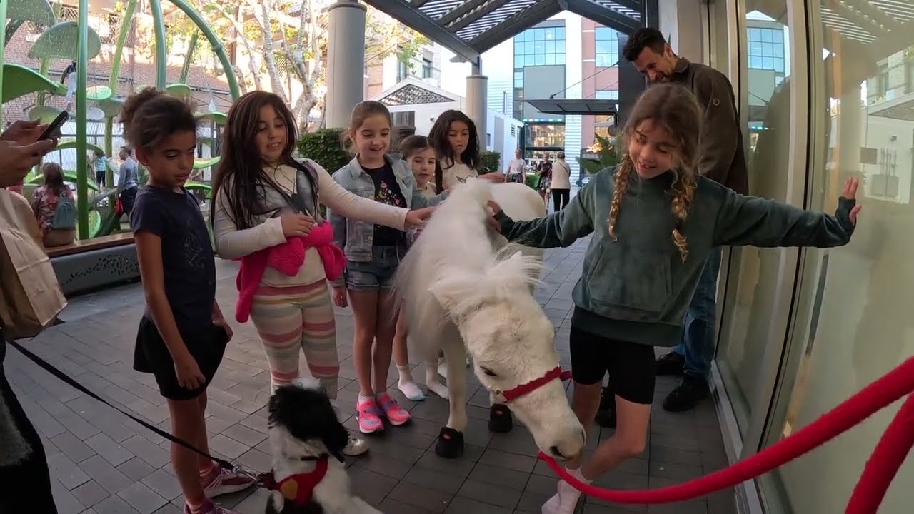 Lt. Rowdy Mini Horse Visiting Westfield Topanga Village (25)