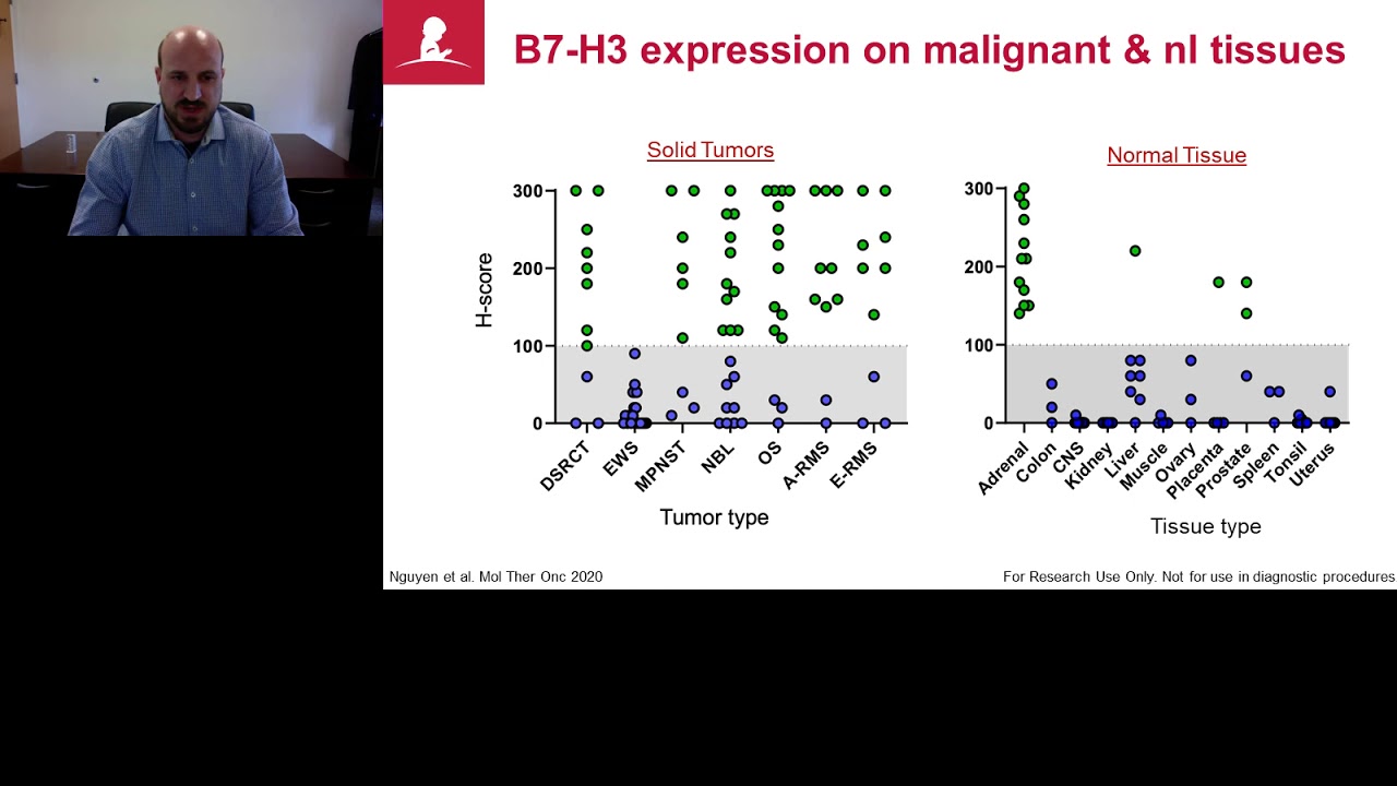 Route of 41BB/41BBL costimulation determines effector function of B7-H3-CAR.CD28&zeta; T cells