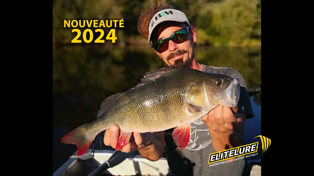 Nouveautés elitelure 2024