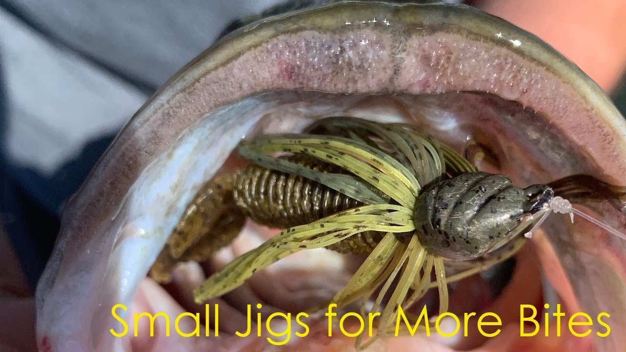 Luke Clausen: Small Jigs for More Bites