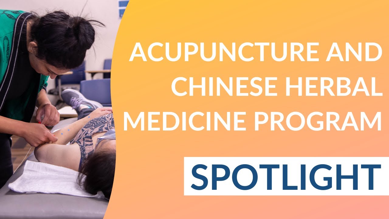 Doctor of Acupuncture and Chinese Herbal Medicine Program Spotlight