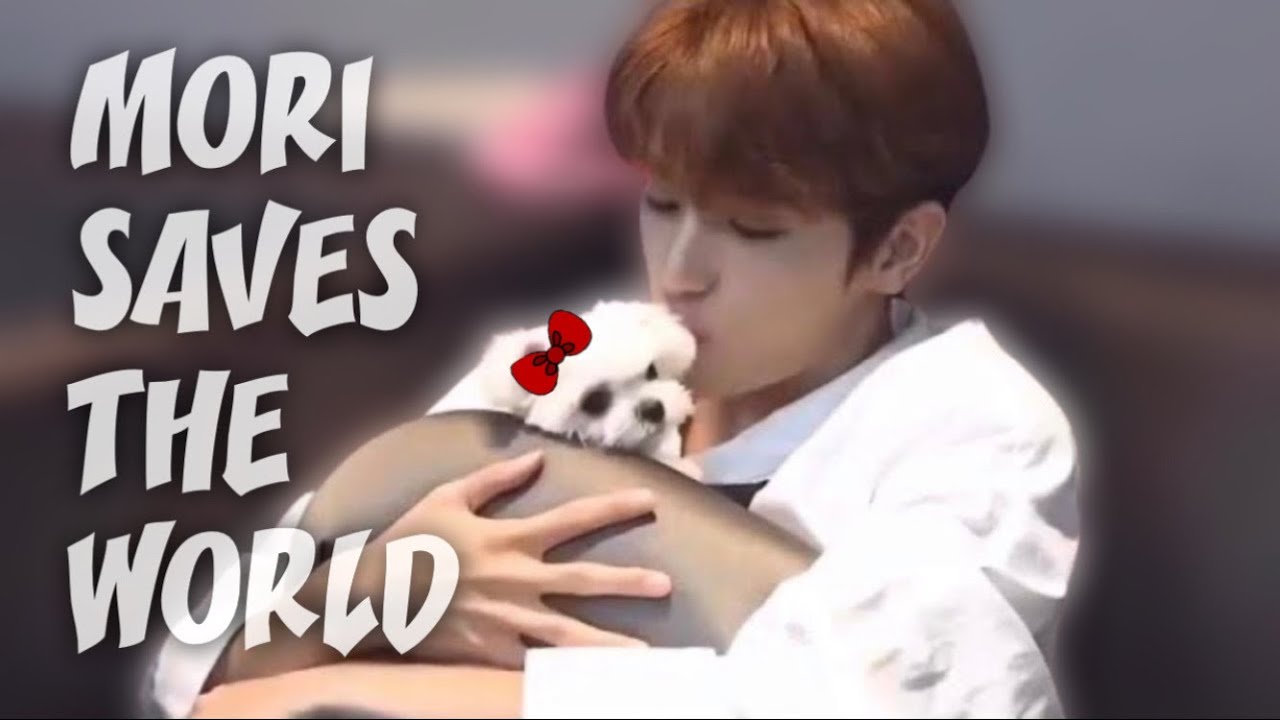 [더보이즈] 비하인드 모리 cut