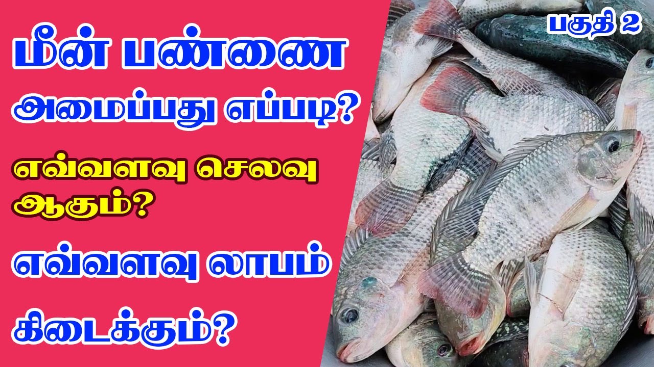 மீன் பண்ணை அமைப்பது எப்படி? செலவு | பராமரிப்பு | லாபம் என்ன? | Fish Farming | Part 2 #OorKuruvi