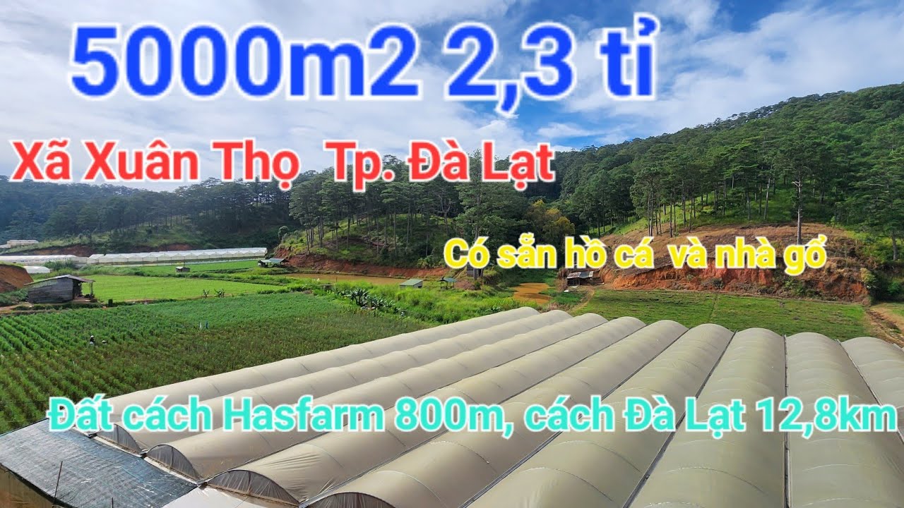 5000m2 2,3 tỉ thôn Đa Quý, Xã Xuân Thọ, Tp. Đà Lạt. Đất cách ql20 2,8km, cách Đà Lạt 12,8km