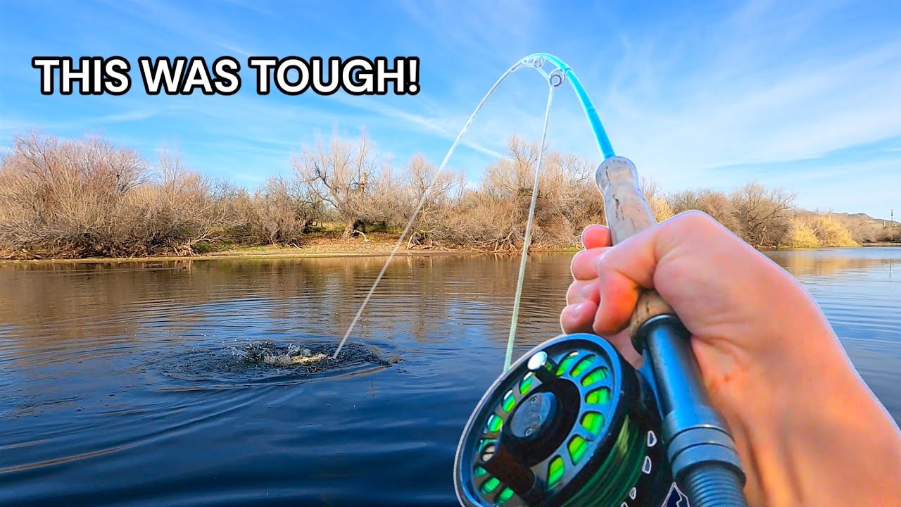 Every Time I Catch a Fish I'm Forced to Change Flies
