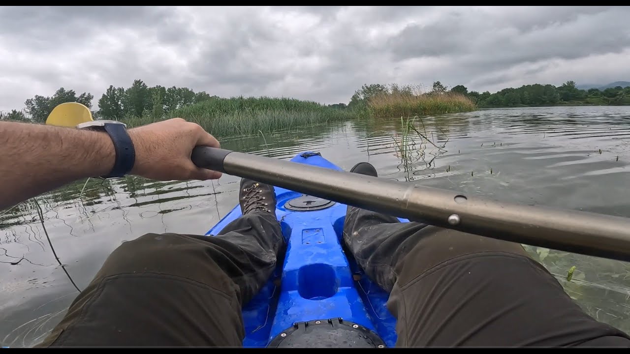 SAKARYA MOLLAKÖY TURNA AVI, BALIK YARIŞMASI
