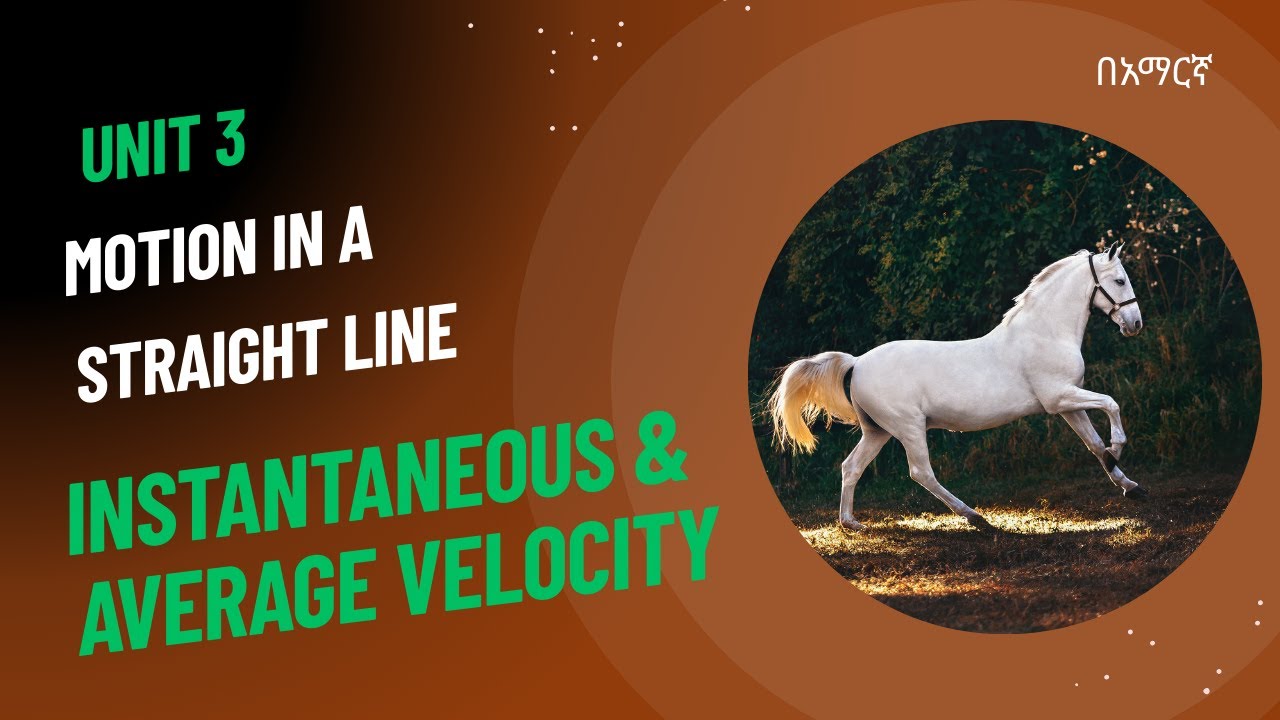 Instantaneous and Average Velocity |Grade 9 Physics |Unit 3 - Motion in a Straight Line