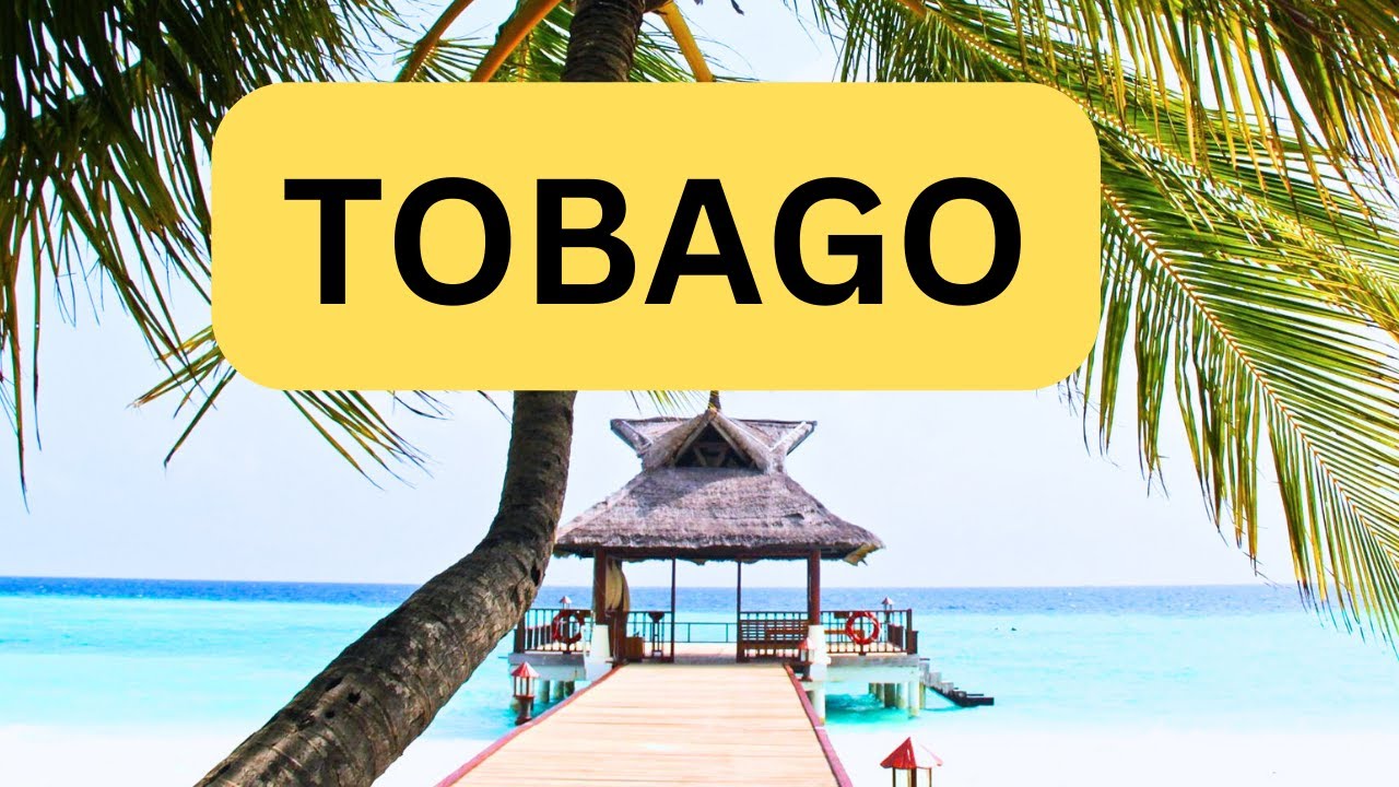 TOP 5 THINGS TO DO IN TOBAGO - CARIBBEAN TRAVEL GUIDE