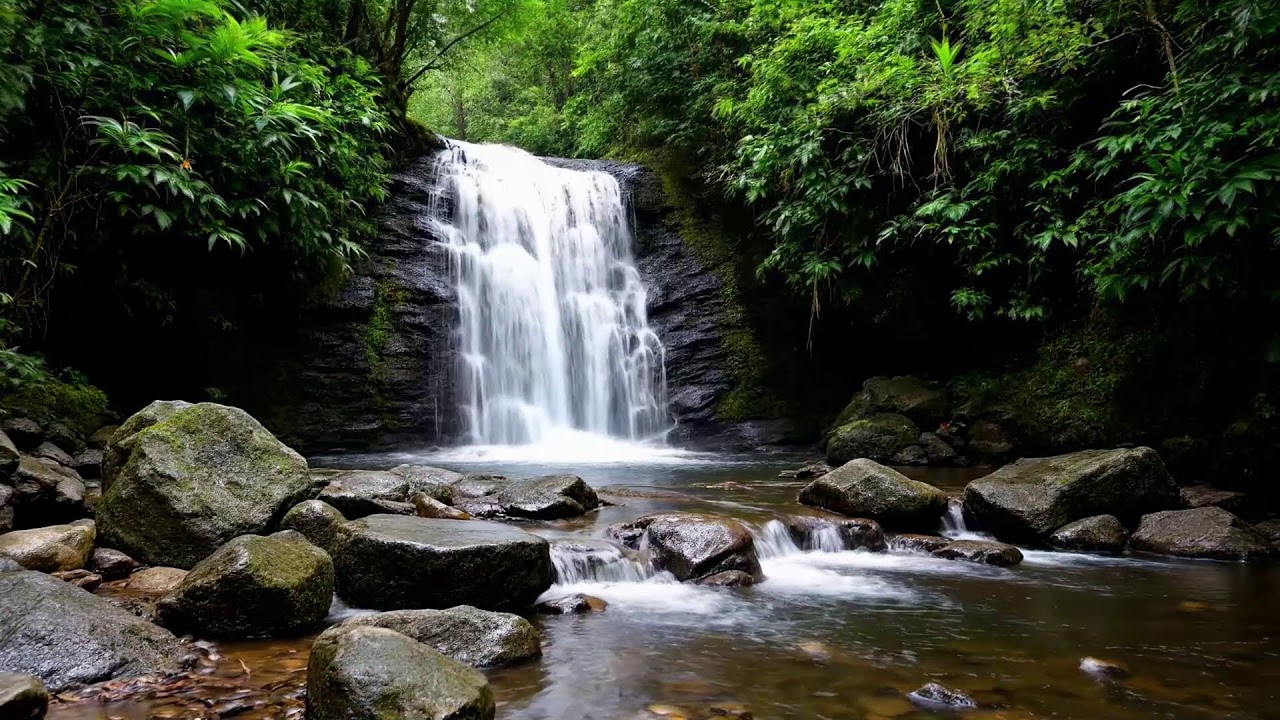 Waterfall Sounds for Studying – Waterfall Ambience for Productive Study Sessions