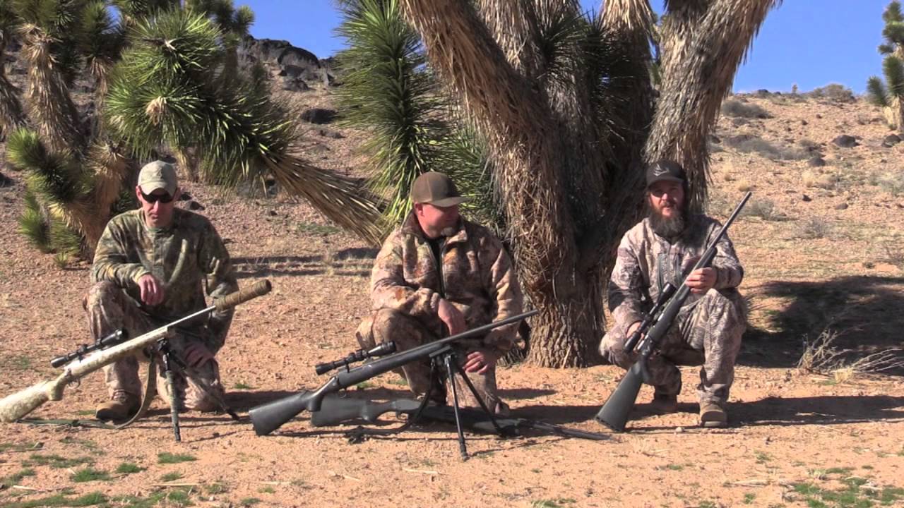 OUR FAVORITE COYOTE CALIBERS!!