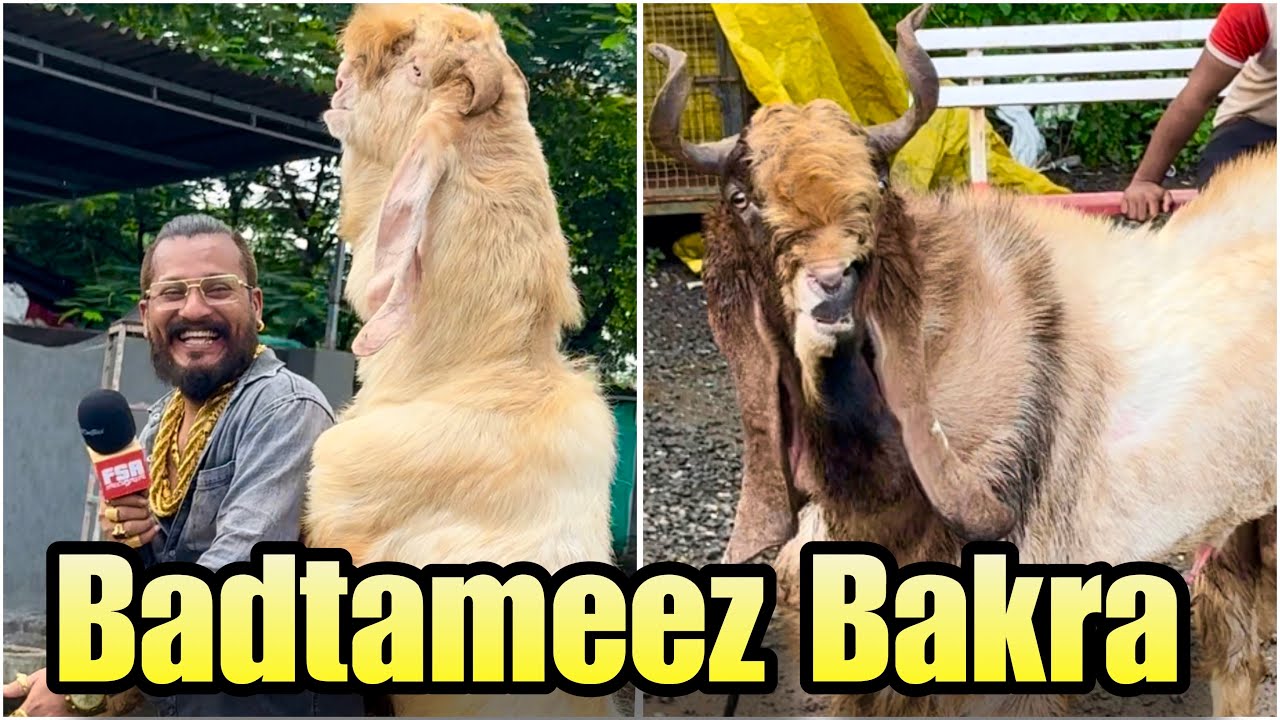 Part 5 - MD Goat Farm Tour | Andul Baade Ke Badtameez Bakre