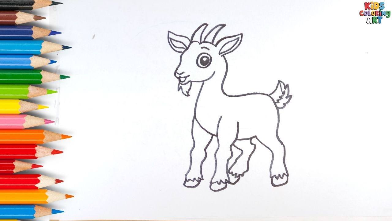 Domestic Goat Drawing for Kids