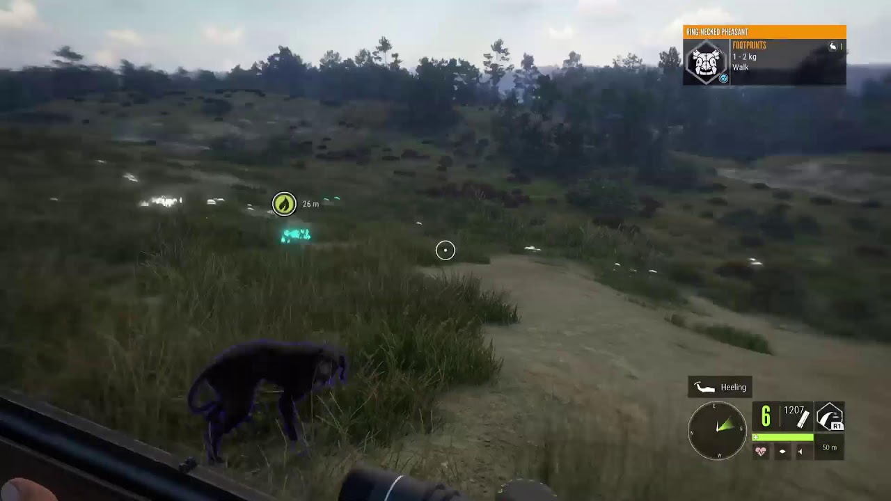 Hunting for my first great one