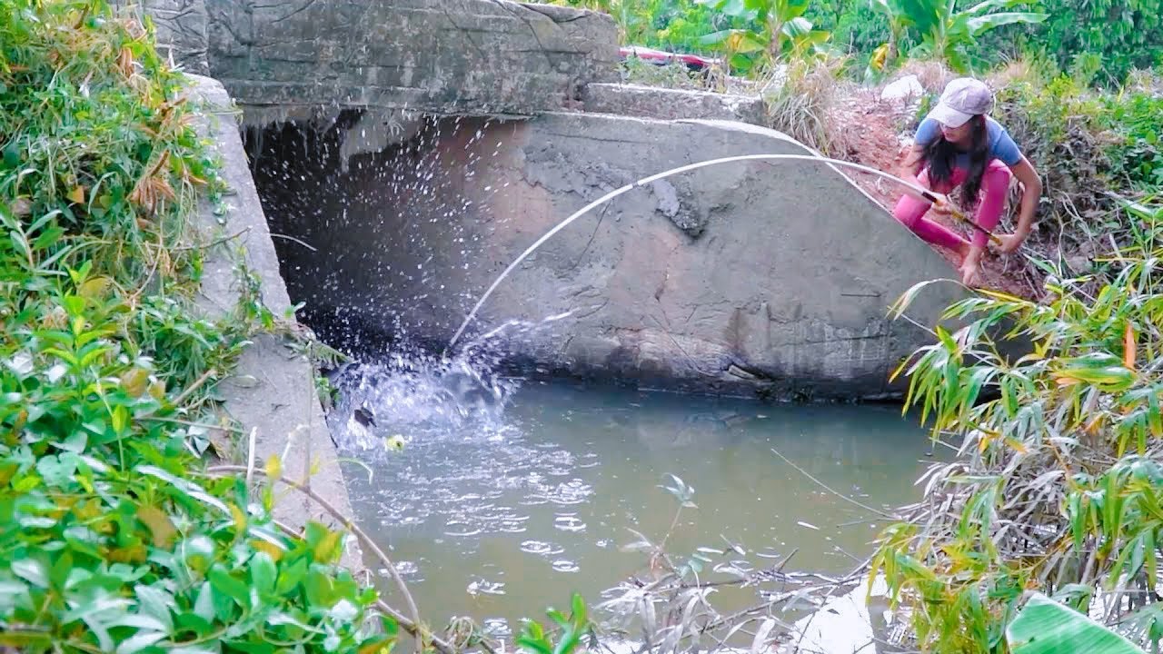 Hana Fishing || The Excellent Girl Caught a Lot of Big Fish from the Village Pond || Hook Fishing