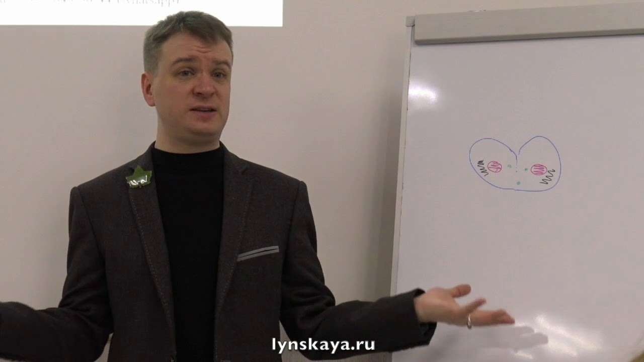 Аутизм и РАС. Норма и не норма. О чём мы говорим? (Розмариновый уровень, Андрей Цветков)