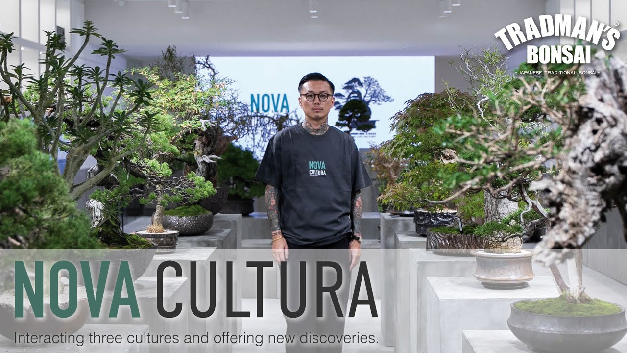 【 NOVA CULTURE 】BONSAI / CAUDEX / EARTHENWARE