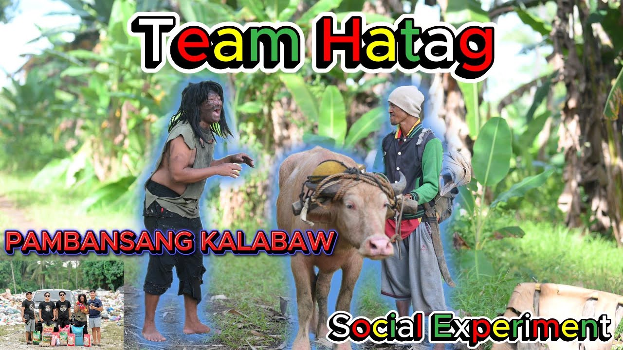 Puting Kalabaw