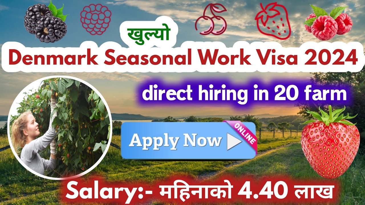 denmark seasonal visa kasari apply garne | denmark seasonal visa from nepal | denmark seasonal visa