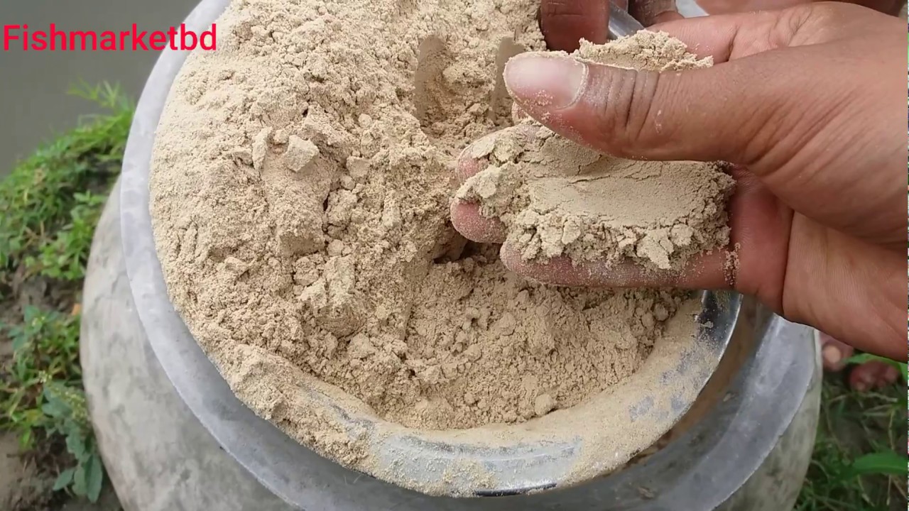 শিং মাছের খাবার | shing fish Stinging Catfish feed