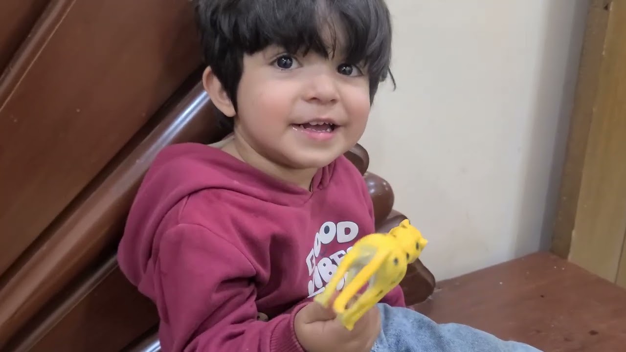 Finding animals with Maleeha and Hassan 