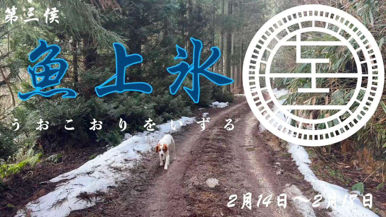 魚上氷
