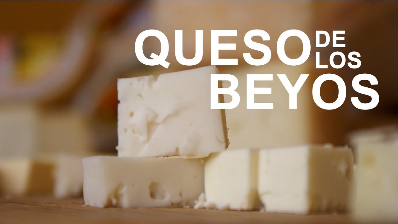 Queso de los Beyos. Quesos de Asturias. Gastronomía asturiana