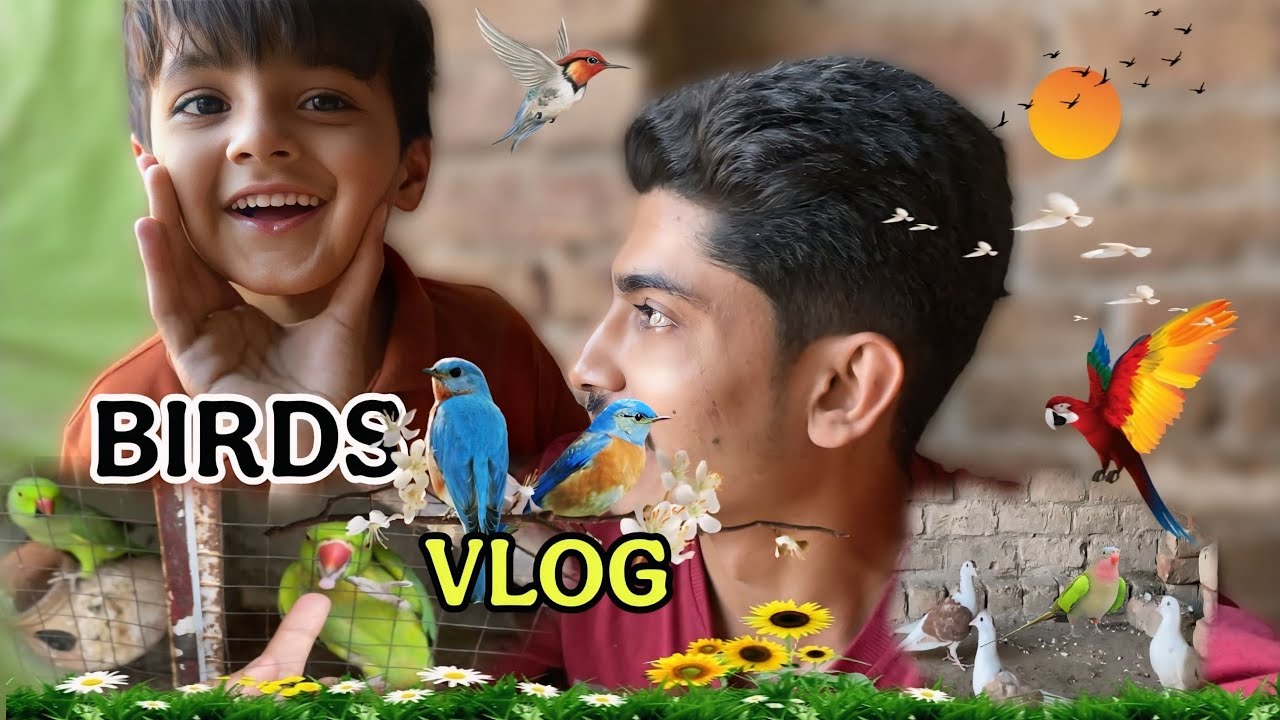 Birds 🦜🐣 vlog || MY BIRDS 🦢 