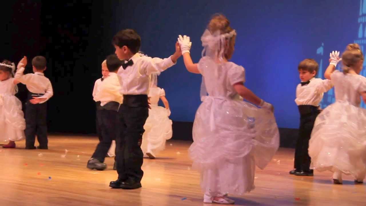 The Emperor Waltz Dance by Aarav