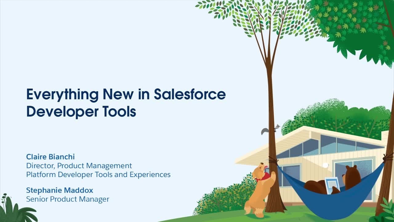 Everything New in Salesforce Developer Tools