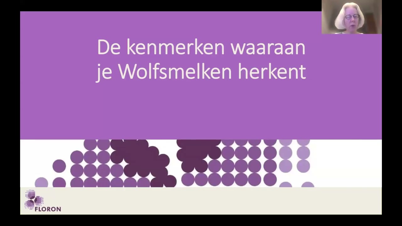 Giftig en mooi: herkennen van Wolfsmelken - Willemien Troelstra