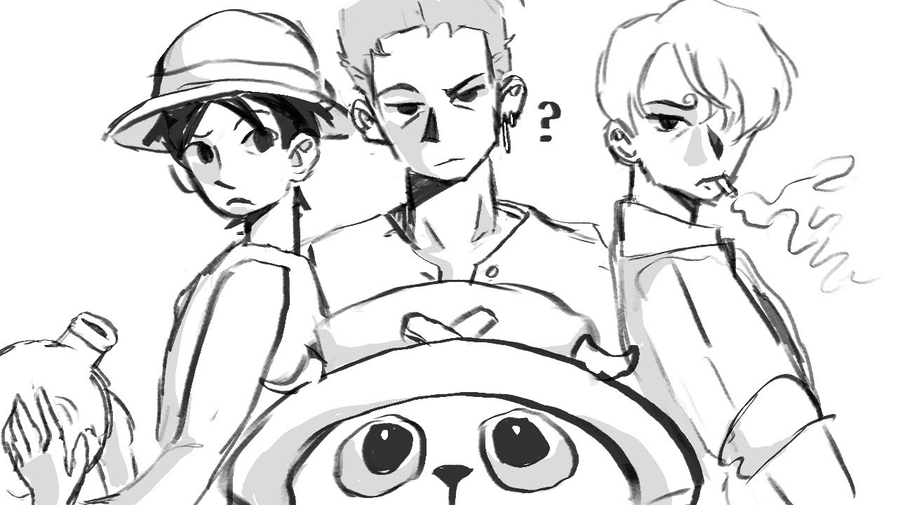a girl worth fighting for: one piece animatic