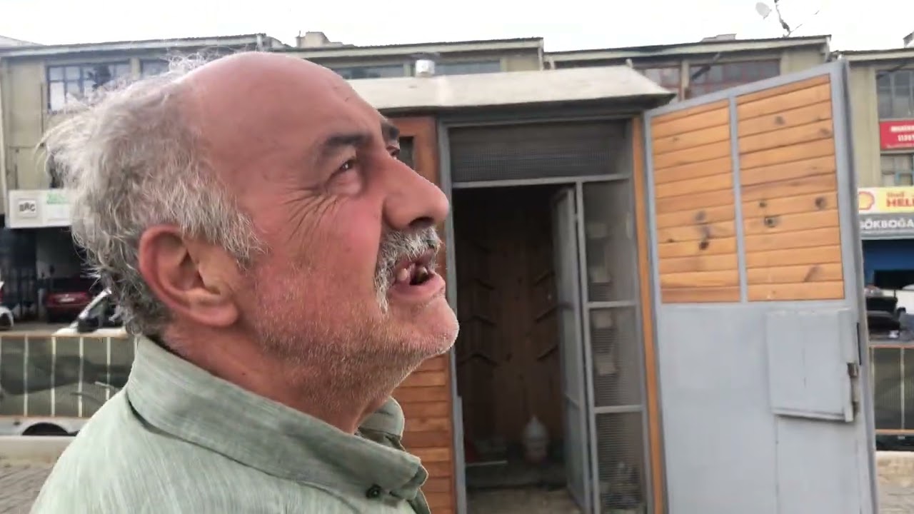 Yavruların Gruplanması