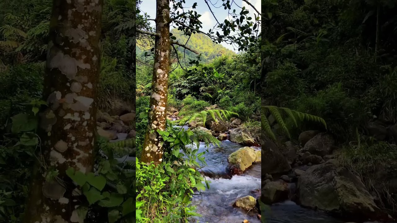 Green view #ciasmara