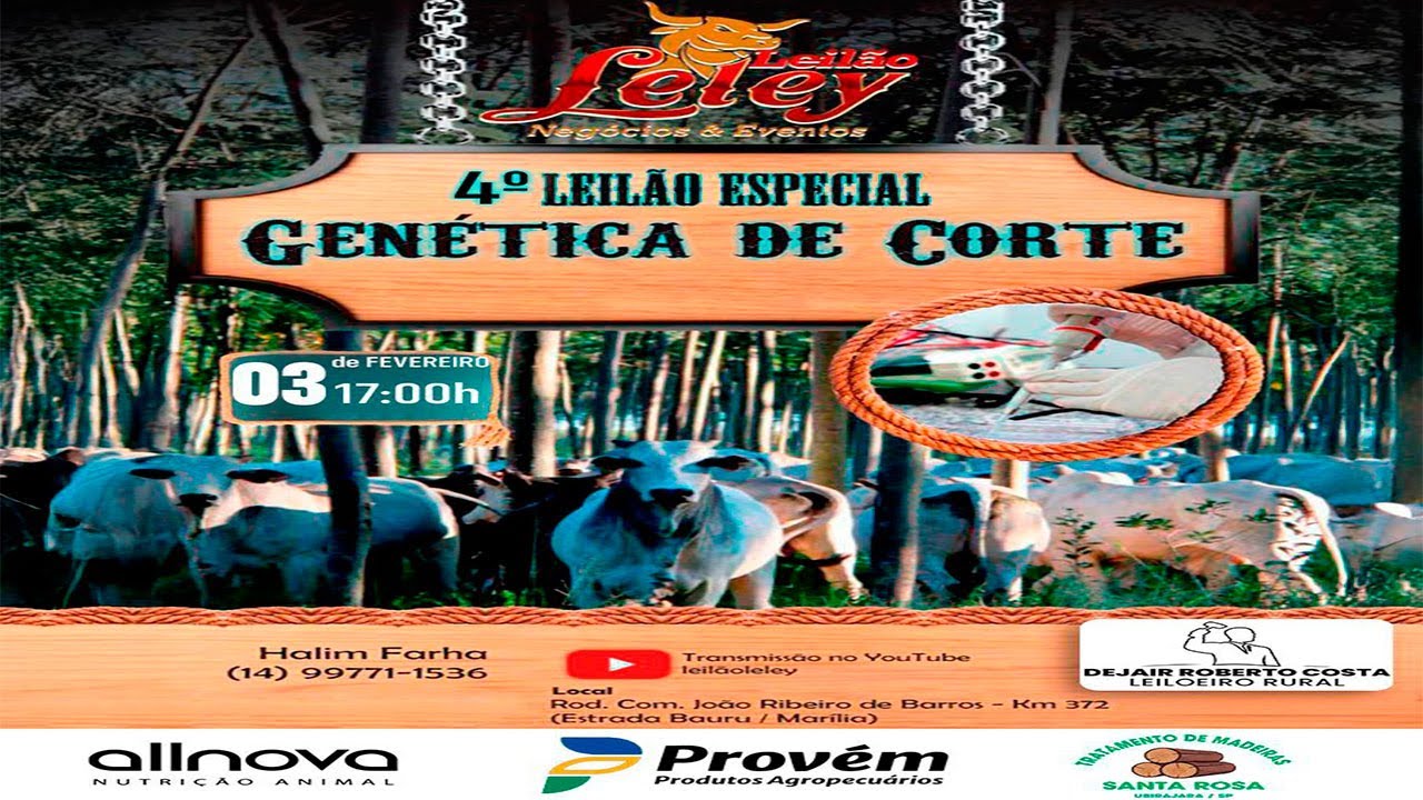 Leilão Leley - AO VIVO - 03/02/2022 4 Genética de Corte #leilaodegado #leilaoaovivo #gado