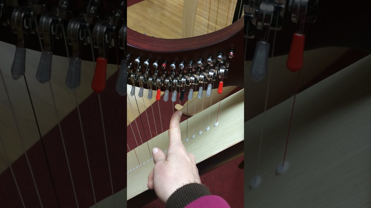 ¿Cómo pedir las cuerdas del arpa? (celta)