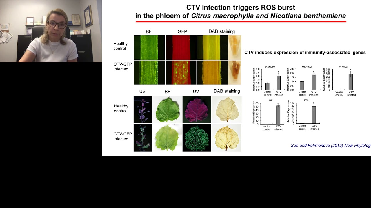 Understanding the role of virus-host interactions in tissue tropism of plant viruses