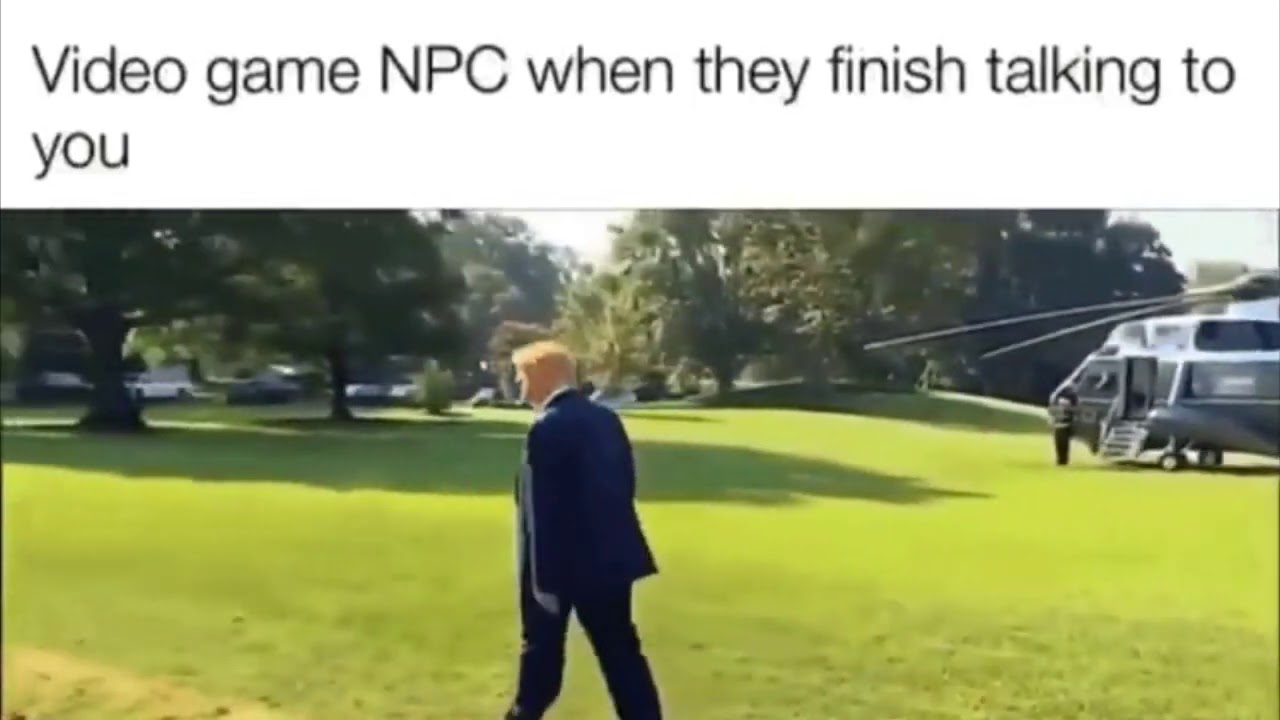 Trump Oblivion NPC Meme