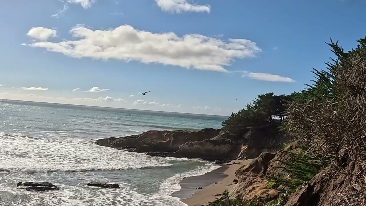 Nature Rolls San Simeon Cambria California